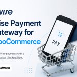 Wise Payment Gateway for Woocommerce